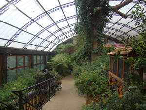 Butterfly Garden at La Paz Waterfall Gardens