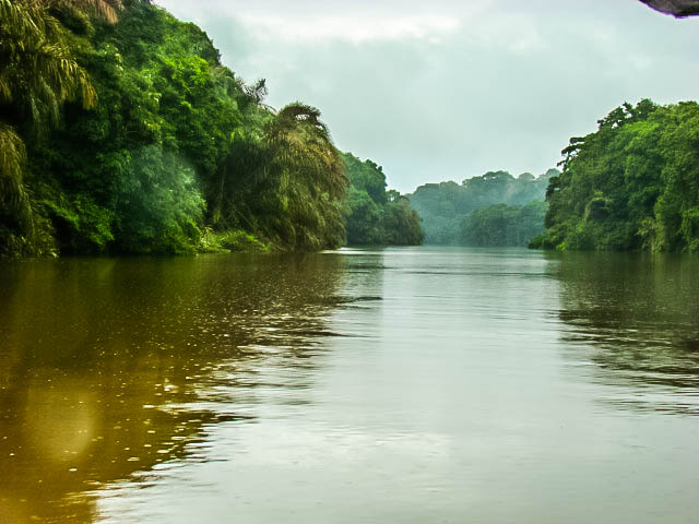 Tortuguero Nation Park canals