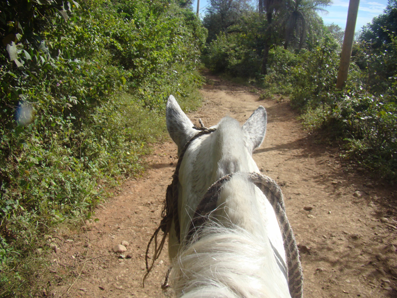 Horse back riding Hacienda Guachipelin