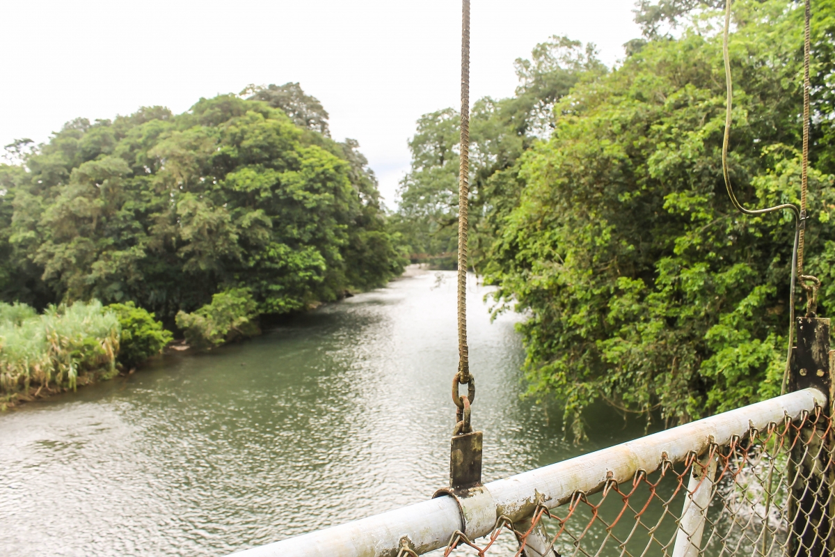 Sarapiqui River