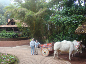 La Paz Waterfall Gardens