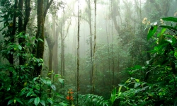Monteverde