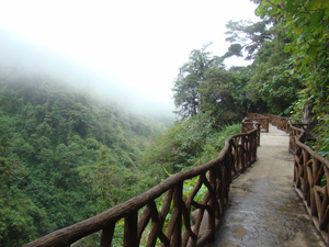 Trails at La Paz Waterfall Gardens